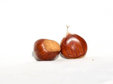 kestane iki arka plan için izole