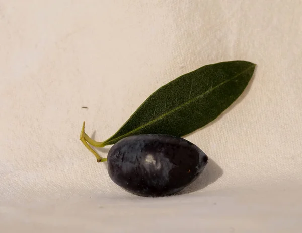 Aceitunas Oliva Para Aceite Hoja Árbol Fondo Alimentos Naturales — Foto de Stock