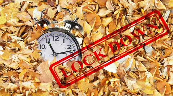 Lockdown Seal Covid Coronavirus Clock Time Fallen Herbst Winter Yellow — Stockfoto