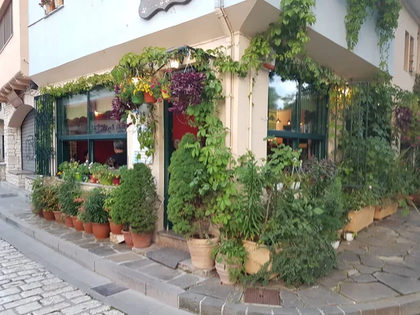 Oannina Daki Kafe Yunanca Pencerelere Çiçek Diker — Stok fotoğraf