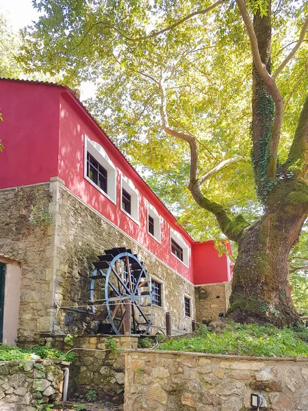 Moulin Eau Achilées Dans Rivière Kalamas Saison Été Ioannina Perfecture — Photo