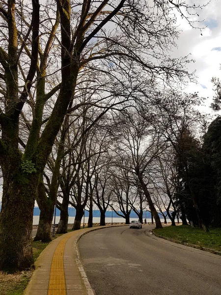 Ioannina See Abend Der Wintersaison Viele Bäume Straßenpflaster Griechenland — Stockfoto