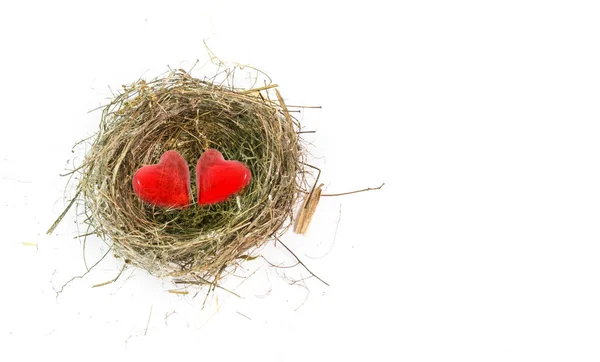 Love Nest Valentine Day Hearts Two Isolated February Safety Safe — Stock Photo, Image