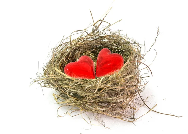 Love Nest Valentine Day Hearts Two Isolated February Safety Safe — Stock Photo, Image