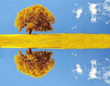 Ağaç bir sonbahar yansıması sudaki büyük izole bir çayırda çevresel arka planda berrak