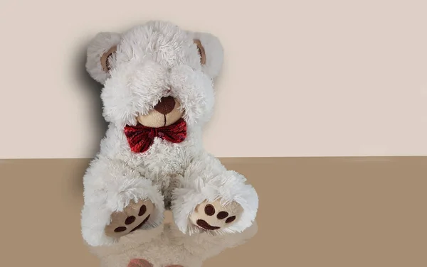 Urso Brinquedo Escondendo Seu Rosto Triste Chorando Sentado Parede Para — Fotografia de Stock