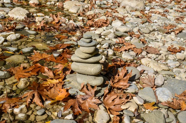 秋天的河流季节 树叶干枯 岩石堆积如山 — 图库照片