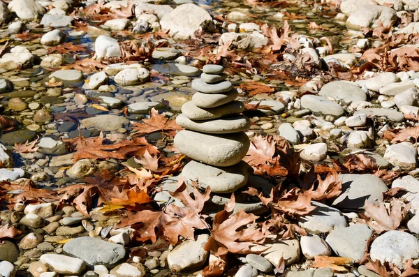 Stapel Rots Balanceren Een Rivier Herfst Seizoen Droge Bladeren Rond — Stockfoto