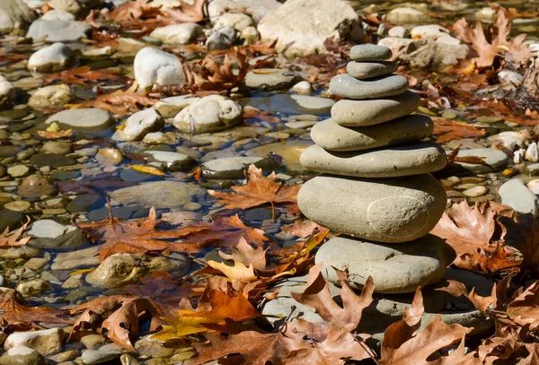 Stapel Rots Balanceren Een Rivier Herfst Seizoen Droge Bladeren Rond — Stockfoto