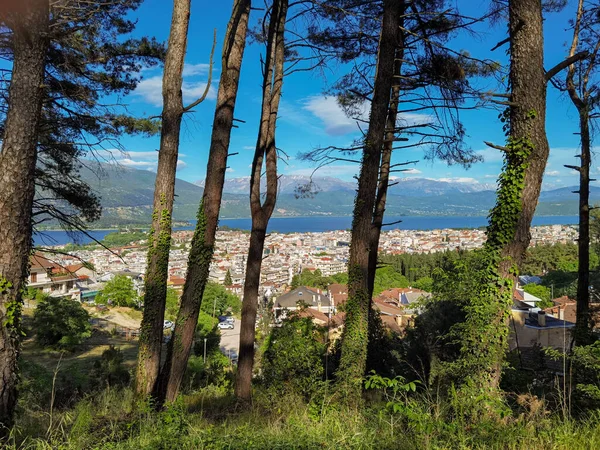 ギリシャの春の松の木の森から見たイオアニナシティビュー — ストック写真