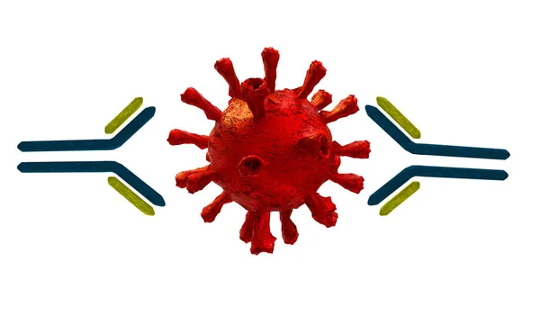 Lucha Contra Virus Anticuerpos Después Vacunación Covid Covid Coronavirus Final — Foto de Stock