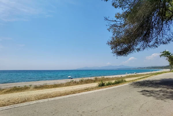 Mitikas Plajı Turizm Beldesi Deniz Çam Ağaçları Yaz Mevsiminde Mükemmellik — Stok fotoğraf