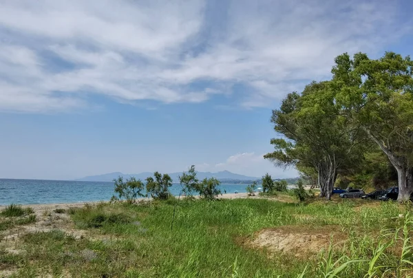 Mitikas Plajı Turizm Beldesi Deniz Çam Ağaçları Yaz Mevsiminde Mükemmellik — Stok fotoğraf