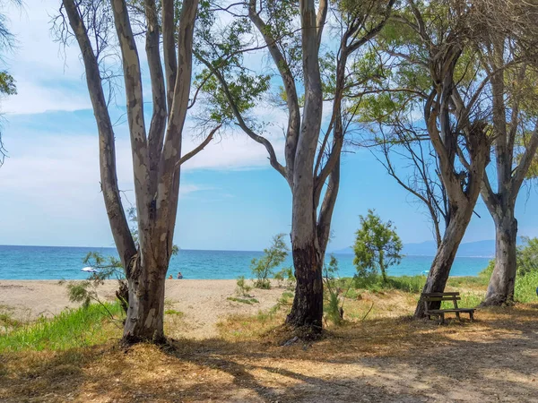 Mitikas Strand Touristenort Meerkiefern Sommer Preveza Perfektion Griechenland — Stockfoto