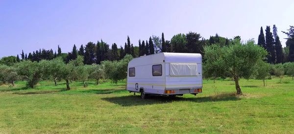 treiler caravan car by the sea in summer  olive trees  meadow blue sky  travel in holidays