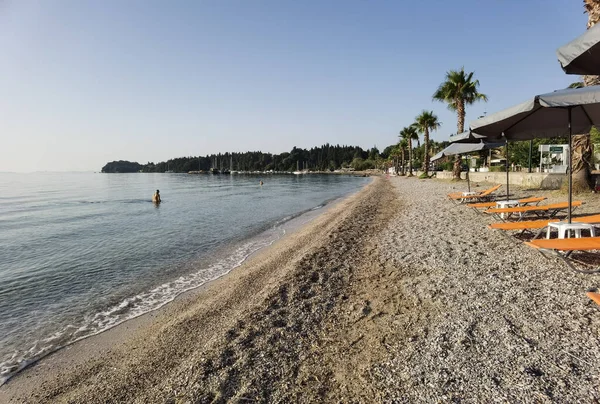 Corflu Kerkyra Ipsos Beach Palm Trees Summer Holidays Resort Greee — Stock Photo, Image