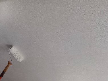 beyaz duvarda fırça fırçası boyacısı silindiri