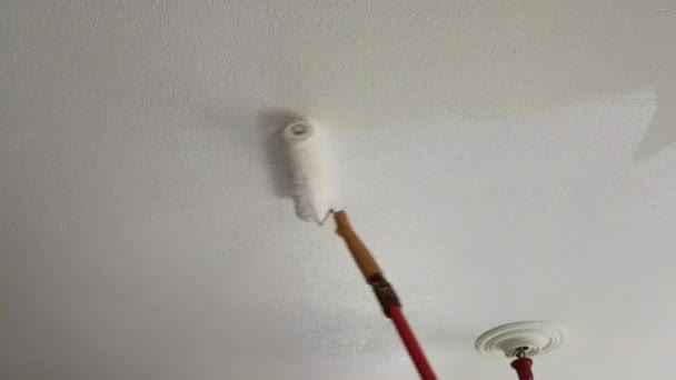 Pinsel Pinselpinsel Malerrolle Weißer Wand — Stockvideo