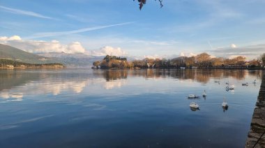Yunan gölünde ioannina şehir kuğuları