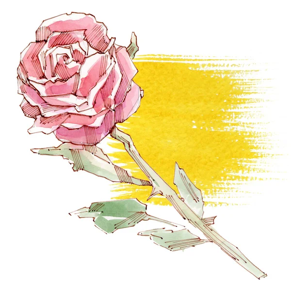 Rote Rosenblüte. Aquarell-Illustration. Isoliert — Stockfoto