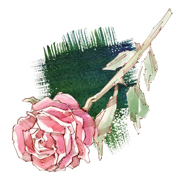 Fleur rose rouge. Illustration aquarelle. Isolé — Photo