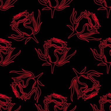 Rose 'un vektör çizimi izole edildi. Kusursuz desen