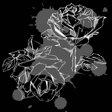 El çizimi gül. Vektör çizimi. Klasik dövme tarzı gül. Tasarım için çiçek motifi taslağı. Mürekkep çizimi izole edildi.