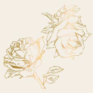 El çizimi gül. Vektör çizimi. Klasik dövme tarzı gül. Tasarım için çiçek motifi taslağı. Mürekkep çizimi izole edildi.