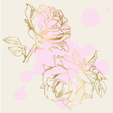 El çizimi gül. Vektör çizimi. Klasik dövme tarzı gül. Tasarım için çiçek motifi taslağı. Mürekkep çizimi izole edildi.