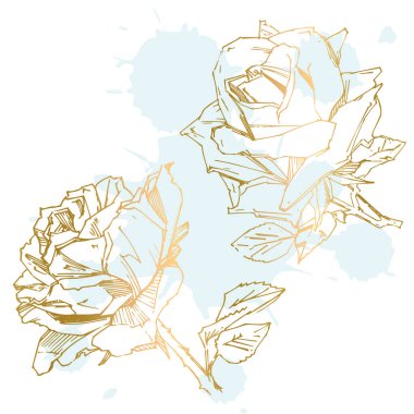 El çizimi gül. Vektör çizimi. Klasik dövme tarzı gül. Tasarım için çiçek motifi taslağı. Mürekkep çizimi izole edildi.