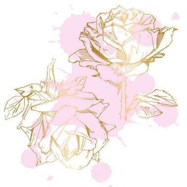 El çizimi gül. Vektör çizimi. Klasik dövme tarzı gül. Tasarım için çiçek motifi taslağı. Mürekkep çizimi izole edildi.