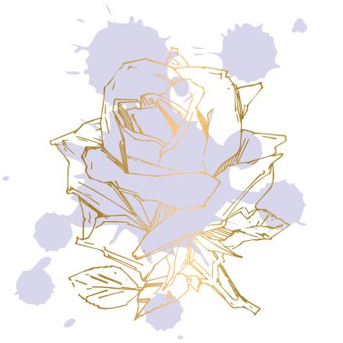 El çizimi gül. Vektör çizimi. Klasik dövme tarzı gül. Tasarım için çiçek motifi taslağı. Mürekkep çizimi izole edildi.