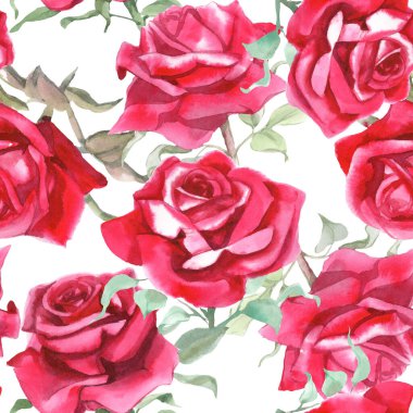 Suluboya kırmızı güller dikişsiz desen. Çiçek arkaplanı
