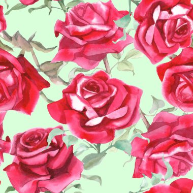 Suluboya kırmızı güller dikişsiz desen. Çiçek arkaplanı