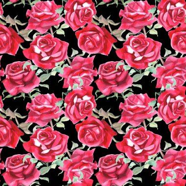 Suluboya kırmızı güller dikişsiz desen. Çiçek arkaplanı