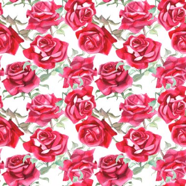 Suluboya kırmızı güller dikişsiz desen. Çiçek arkaplanı