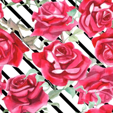 Suluboya kırmızı güller dikişsiz desen. Çiçek arkaplanı