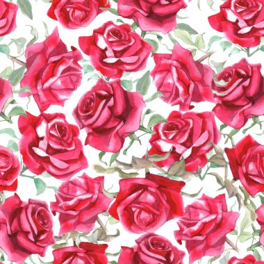 Suluboya kırmızı güller dikişsiz desen. Çiçek arkaplanı