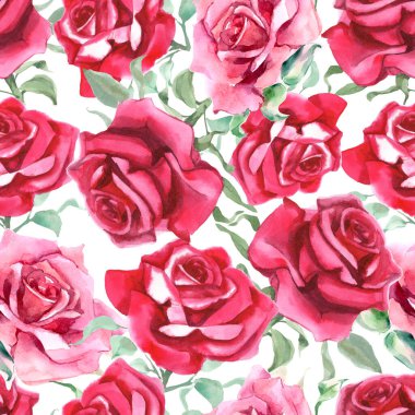 Suluboya pembe ve kırmızı güller. Kusursuz desen. Suluboya arka plan. Yüksek kaliteli illüstrasyon