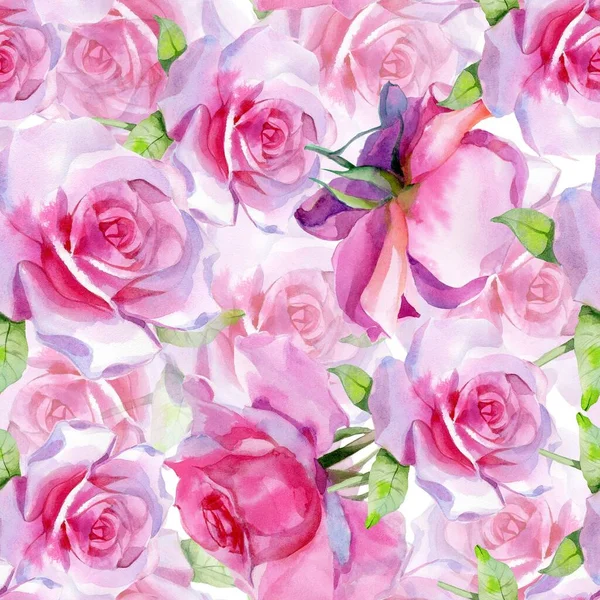 Kırmızı pembe suluboya güller ve altın sarısı antik akantisler. Kusursuz desen. Yüksek kalite fotoğraf