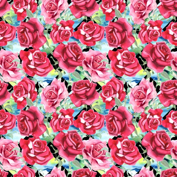 Suluboya pembe ve kırmızı güller. Kusursuz desen. Suluboya arka plan. Yüksek kaliteli illüstrasyon