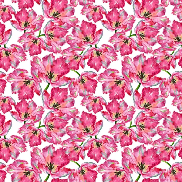 Suluboya lale çiçeği baskısı. Suluboya çizimi. Kusursuz desen. Yüksek kalite fotoğraf