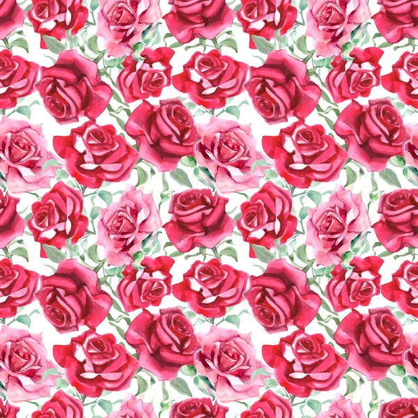 Suluboya pembe ve kırmızı güller. Kusursuz desen. Suluboya arka plan. Yüksek kaliteli illüstrasyon