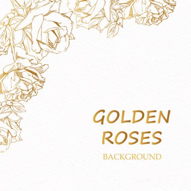 El çizimi gül. Vektör çizimi. Klasik dövme tarzı gül. Tasarım için çiçek motifi çizimi.