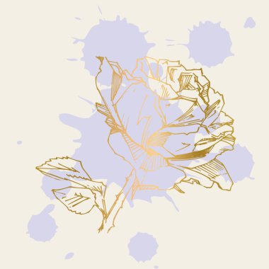 El çizimi gül. Vektör çizimi. Klasik dövme tarzı gül. Tasarım için çiçek motifi çizimi.