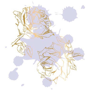 El çizimi gül. Vektör çizimi. Klasik dövme tarzı gül. Tasarım için çiçek motifi çizimi.