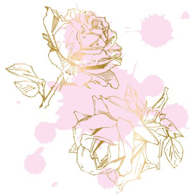 El çizimi gül. Vektör çizimi. Klasik dövme tarzı gül. Tasarım için çiçek motifi çizimi.