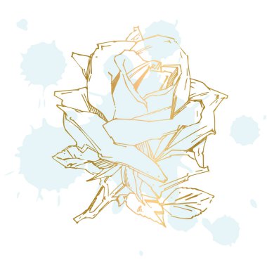 El çizimi gül. Vektör çizimi. Klasik dövme tarzı gül. Tasarım için çiçek motifi çizimi.