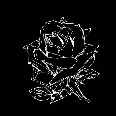 El çizimi gül. Vektör çizimi. Klasik dövme tarzı gül. Tasarım için çiçek motifi çizimi.