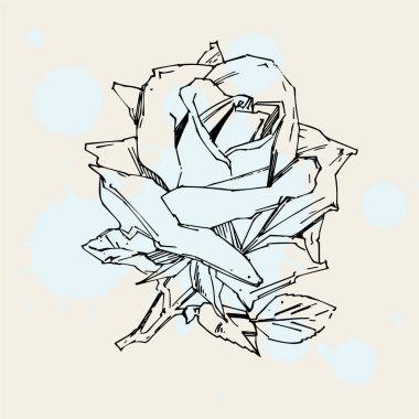 El çizimi gül. Vektör çizimi. Klasik dövme tarzı gül. Tasarım için çiçek motifi çizimi.